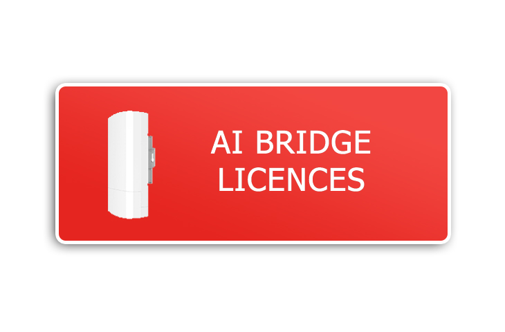 AI BRIDGE LICENSES